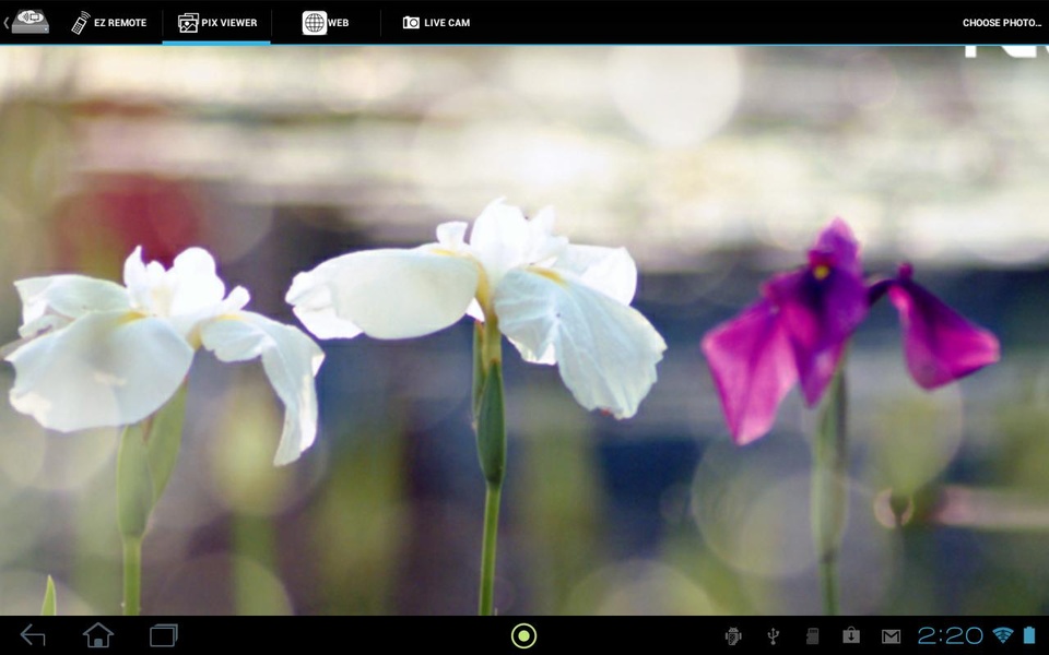 EZ Display - Preview 3
