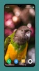 Parrot Wallpapers 4K screenshot 3