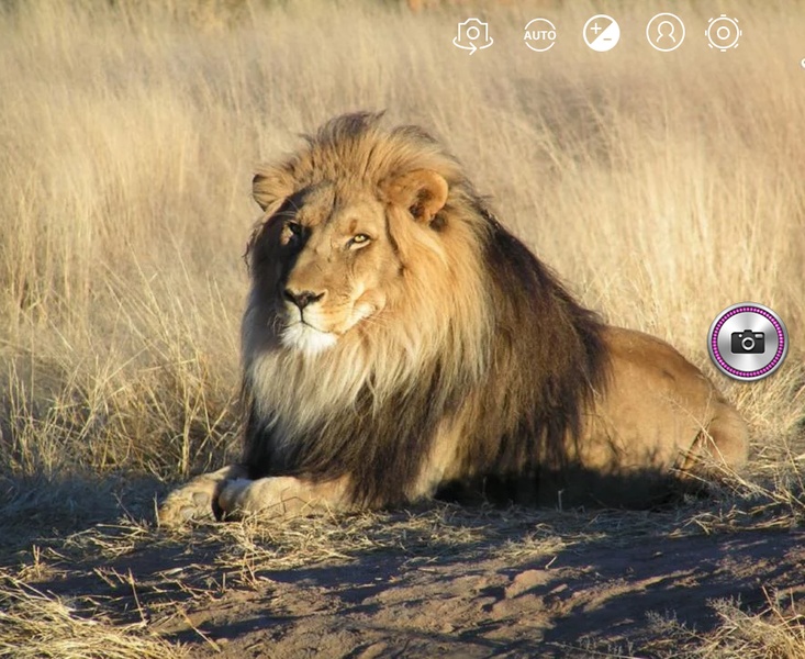 TCamera - Preview 3