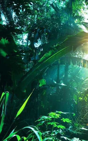 Jungle Live Wallpaper - Preview 8
