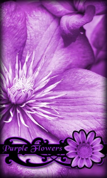 Purple Flowers Live Wallpaper - Preview 3