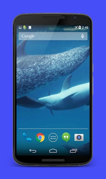 Dolphins Video Live Wallpaper - Preview 1