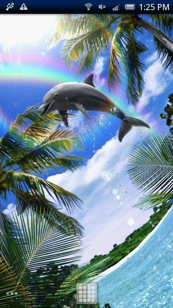 Dolphin Rainbow Trial - Preview 2
