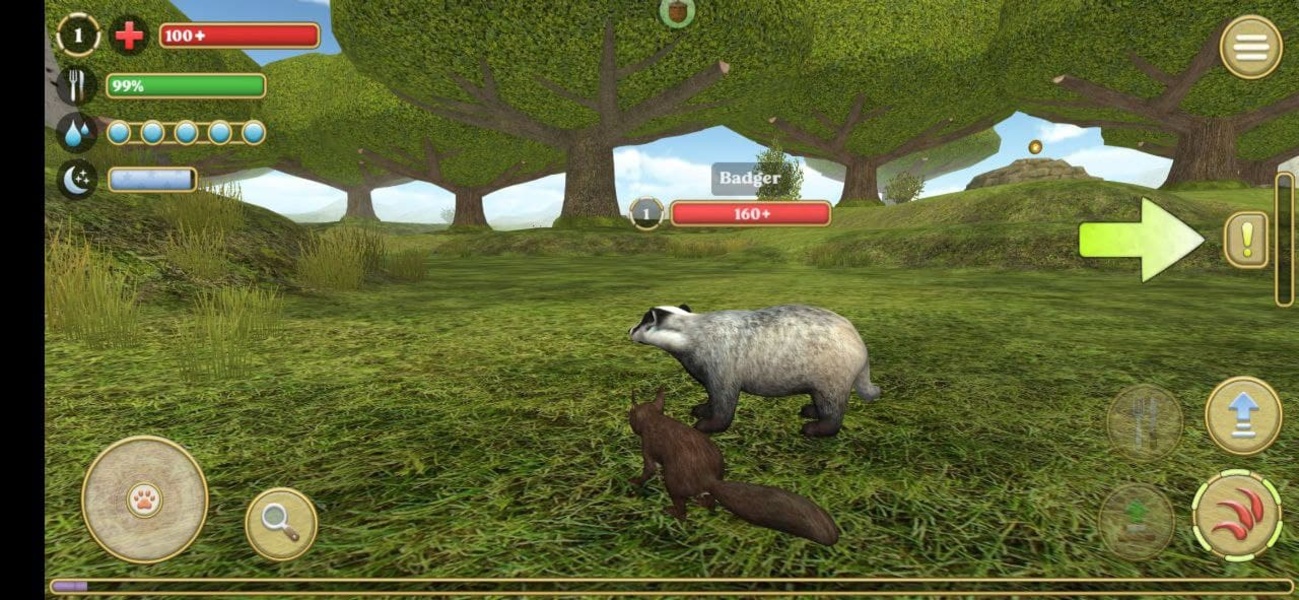 Squirrel Simulator 2 - Preview 5