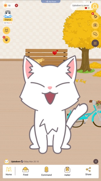 Download do APK de Vídeos de animais engraçados - gatos, cachorros para  Android