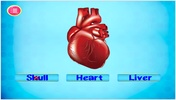 Kids Human Body Parts: Learning Game screenshot 11