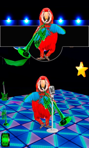Talking & Singing Parrot - Preview 4