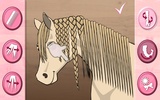 Horse Braiding screenshot 4