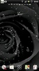 Black Rose live wallpapers screenshot 1