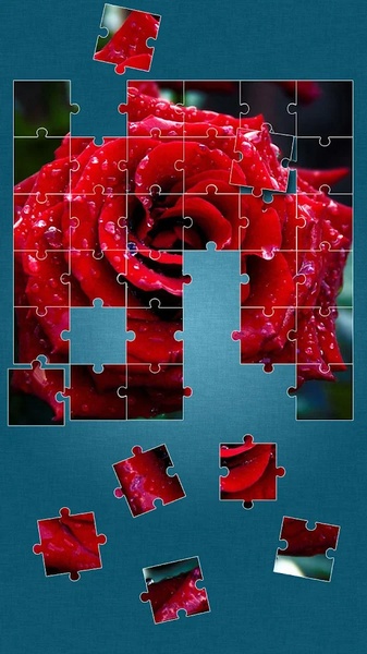 Roses Jigsaw Puzzle - Preview 4