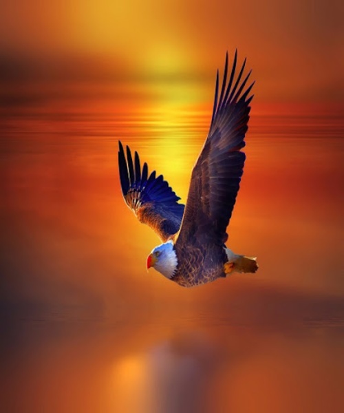 sunset wallpapers - Preview 3