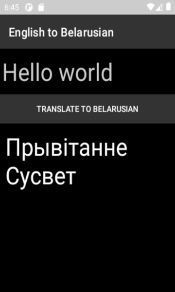English to Belarusian Translator - Preview 4