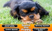 Guess The Puppy Breed Trivia screenshot 6
