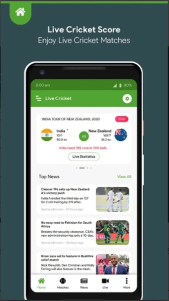 Live Cricket Score - Preview 4