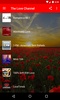 The Love Channel screenshot 3
