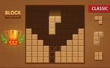 Block puzzle-Puzzle Games screenshot 5
