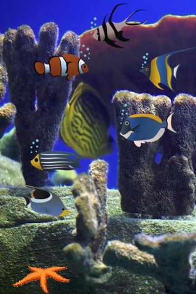 Pet Fish Tank - Preview 2