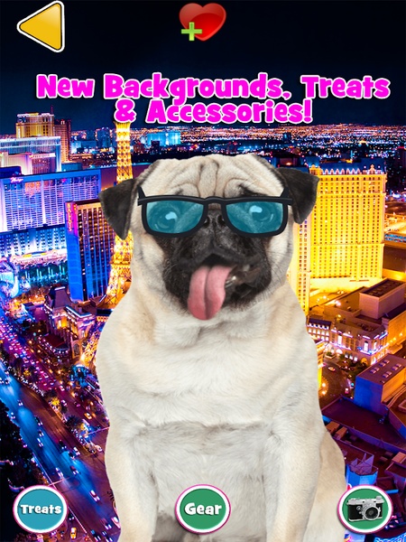 Talking Pug - Preview 4
