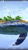 Turtle 4K Live Wallpaper screenshot 3