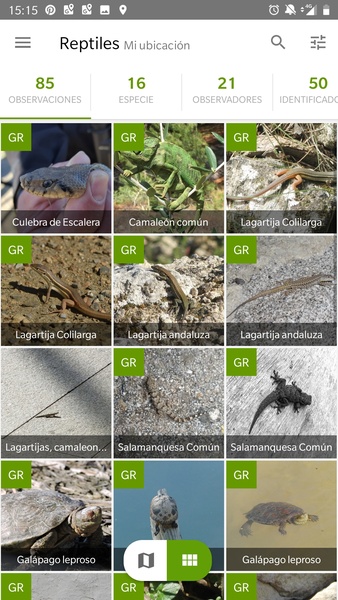 iNaturalist - Preview 2
