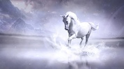 Horses Live Wallpaper - backgrounds hd screenshot 2