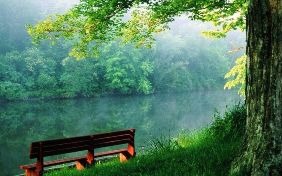 Green Nature HD Wallpaper - Preview 6