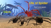 Life of Spider screenshot 7