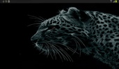 Leopard Live Wallpapers screenshot 3