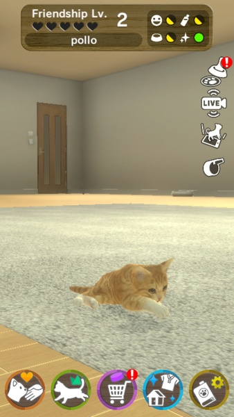 with My CAT - Preview 6