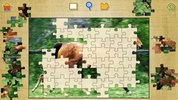 Horse Jigsaw Puzzles Game screenshot 7