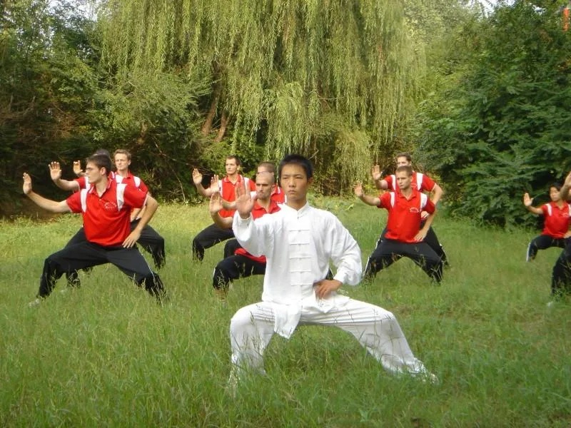 Tai Chi Chuan - Preview 4