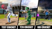RVG Cricket Lite screenshot 7