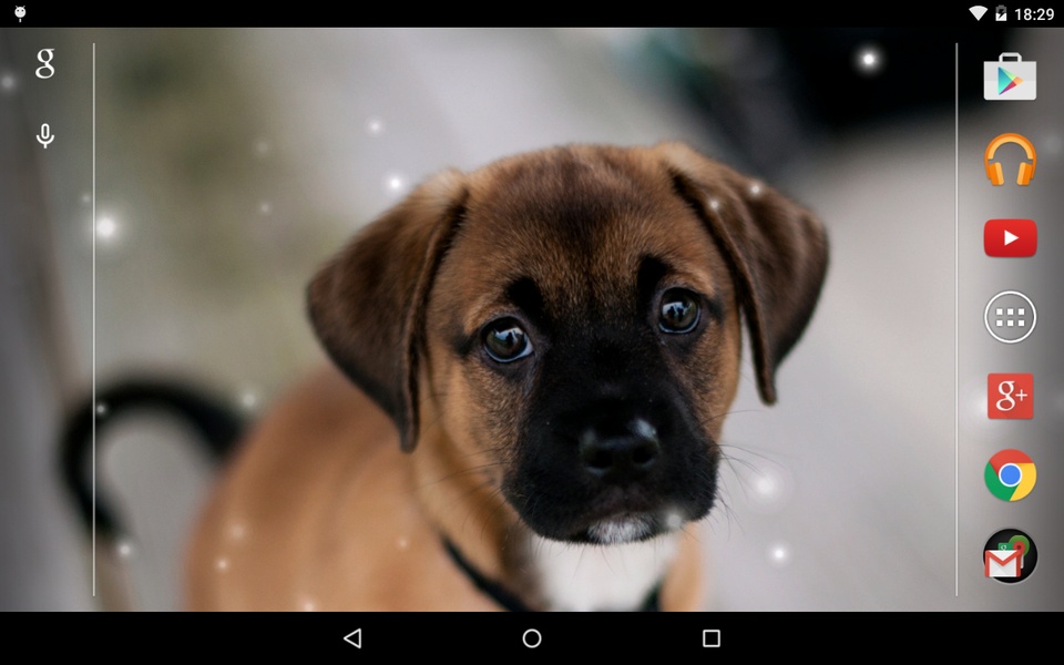 Puppies - Preview 1