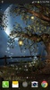 Fireflies Live Wallpaper screenshot 3