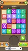 Dice Puzzle screenshot 2