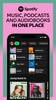 Spotify screenshot 2