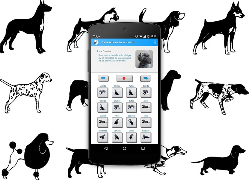 TranslateDog - Preview 2