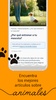 My Animals - Salud y cuidado d screenshot 8