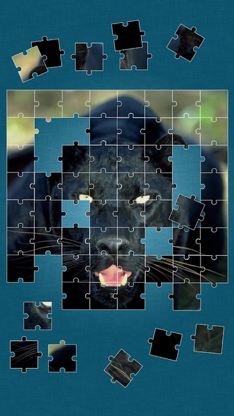 Animals Jigsaw Puzzle - Preview 10