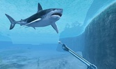 Sharks VR screenshot 4