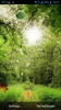 Forest Live Wallpaper screenshot 2