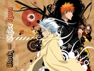 Bleach Windows Theme screenshot 2