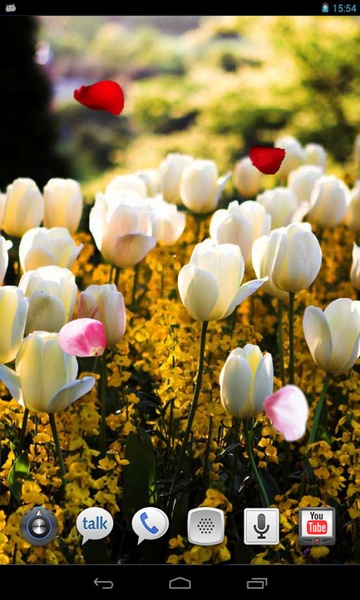 Amazing Tulips live wallpaper - Preview 1