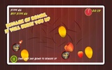 Fruit Slasher screenshot 12