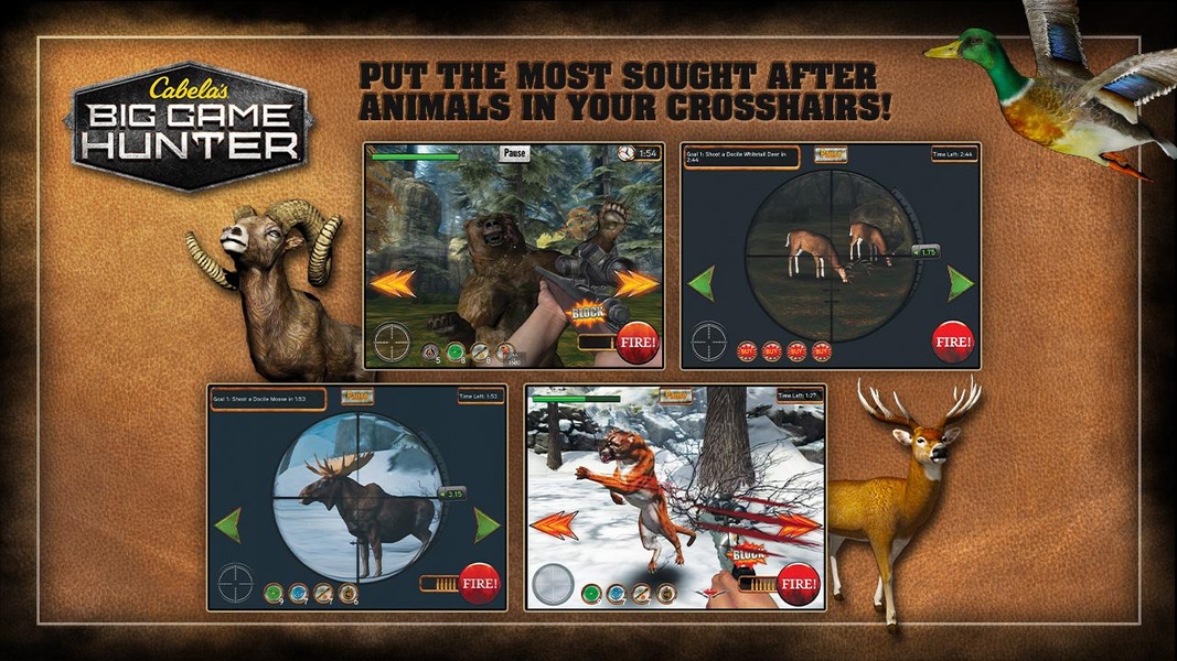 Cabela - Preview 10
