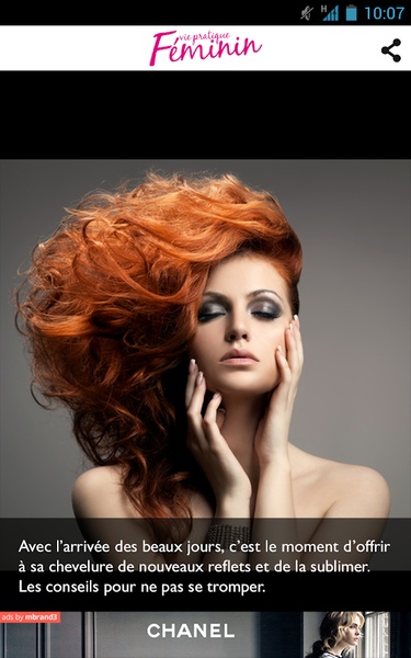 Vie Pratique - Preview 2