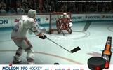 Pro Hockey screenshot 3