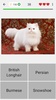 Cats Quiz Guess Popular Breeds screenshot 2