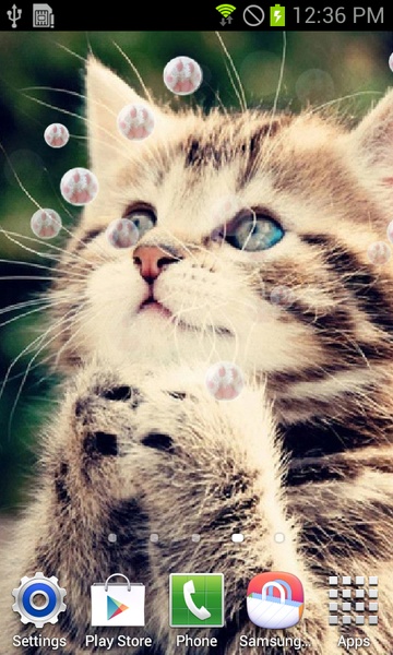 Cute Cat - Preview 3