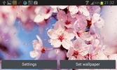 Cherry Blossom Live Wallpaper screenshot 1